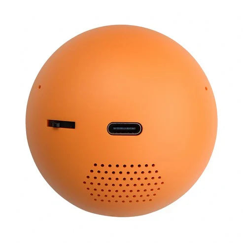 Customizable video glass ball