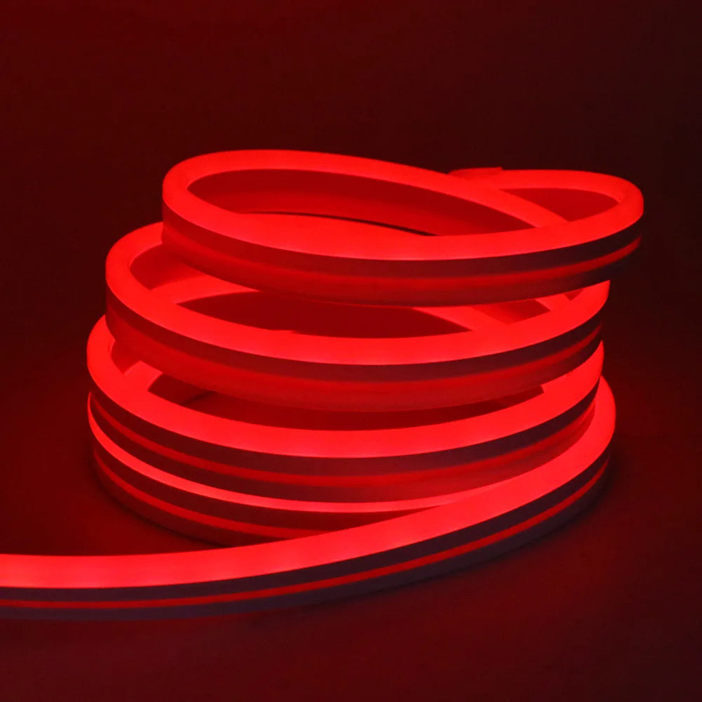 Neon Rope Light
