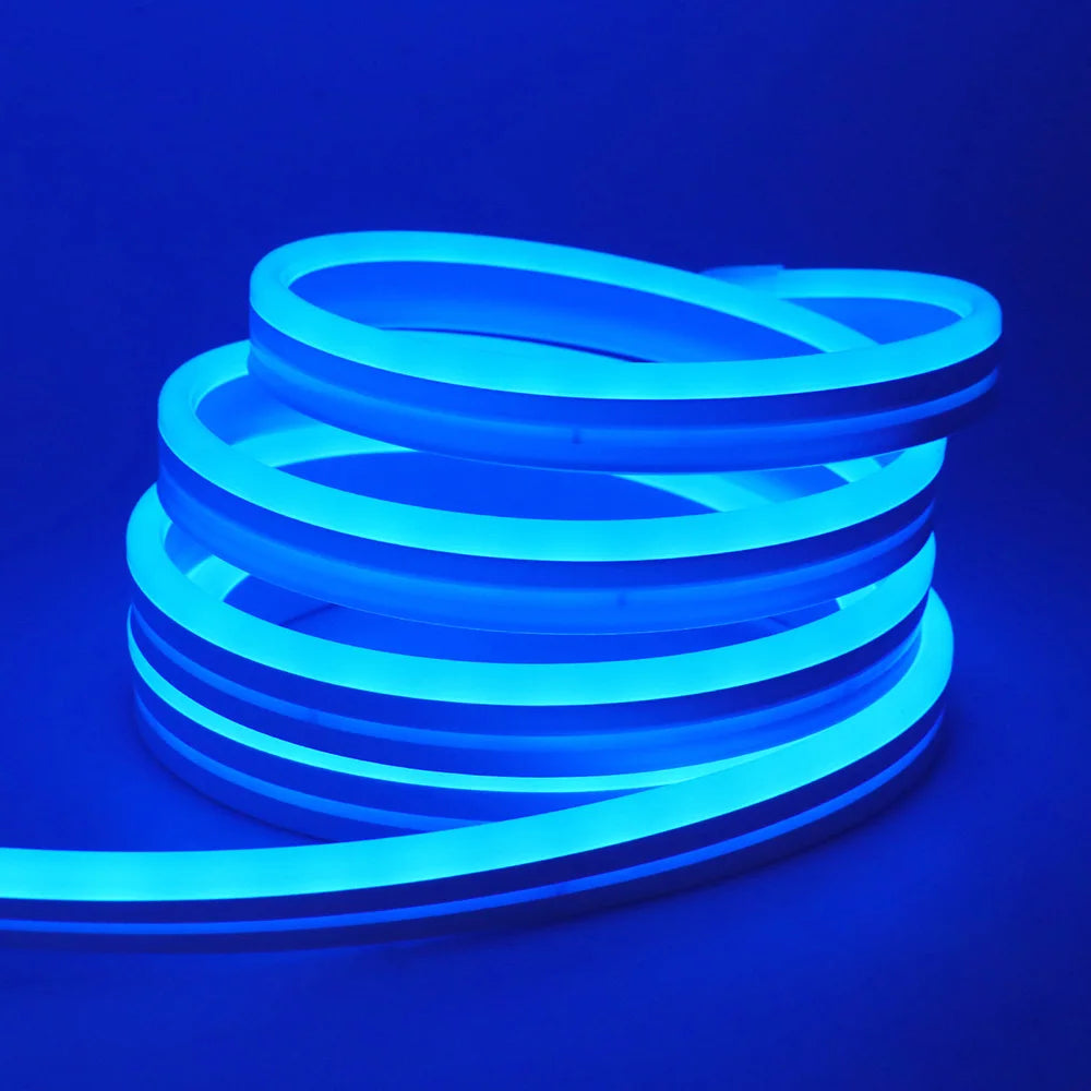 Neon Rope Light