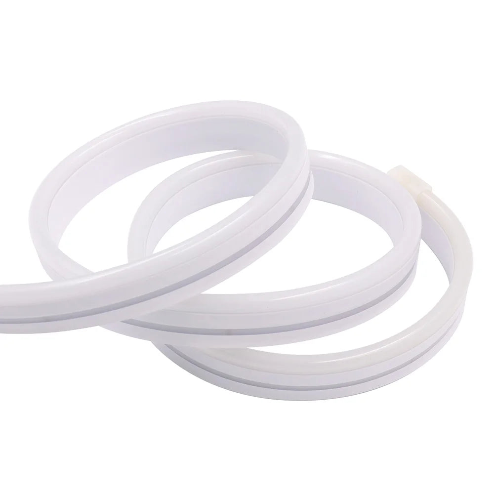 Neon Rope Light