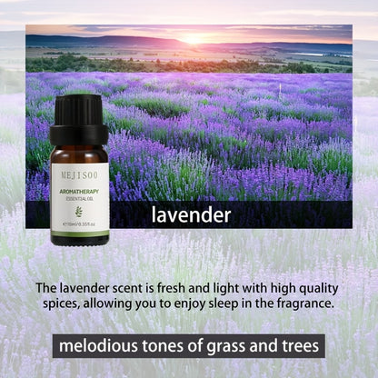 Composite Essential Oil Humidifiers - Havon